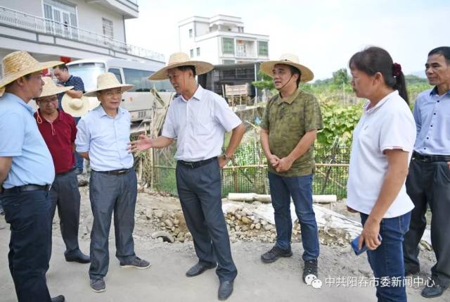 阳春市委书记陈平(中)到八甲镇指导新农村示范村建设.