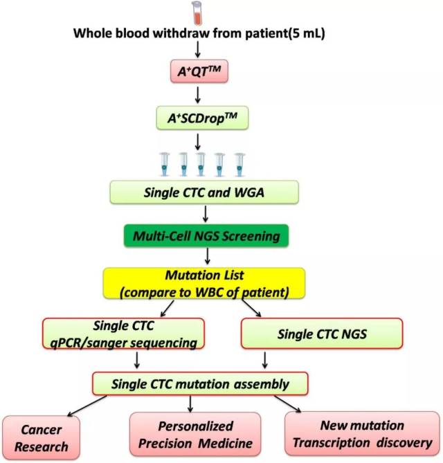 单细胞测序技术是肿瘤个体化治疗的有效保障