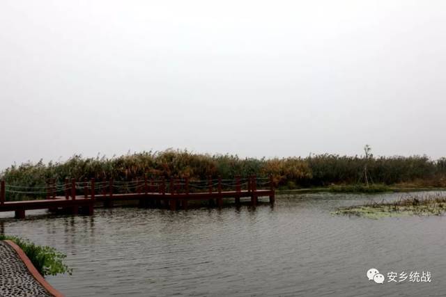 查看珊珀湖生态湿地