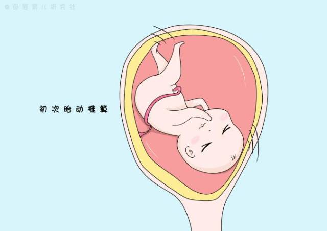 初次胎动的日期加上22周就是预产期,这种方法准确与否需要看孕妈自身