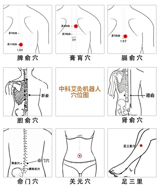 经常头晕眼花怎么办,艾灸这些穴位有妙效