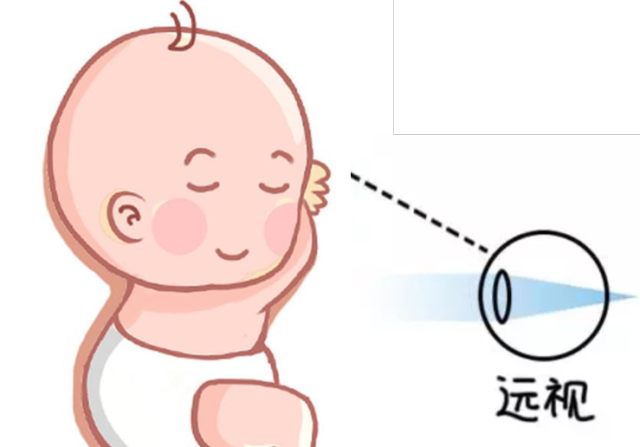 此时双眼几乎完全发育成形,胎儿出生时视网膜上的各层组织,此时都已