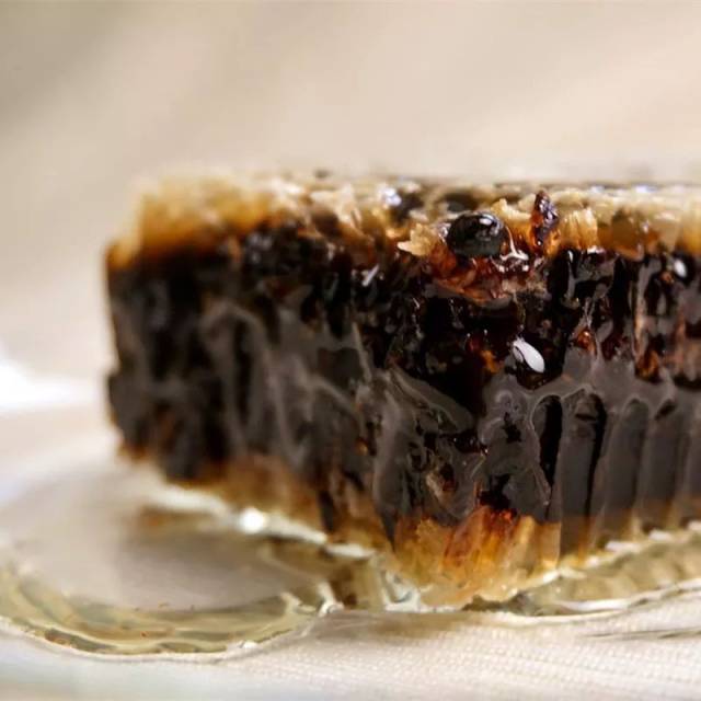 什么是老蜂巢蜜?老蜂巢能治疗鼻炎吗?