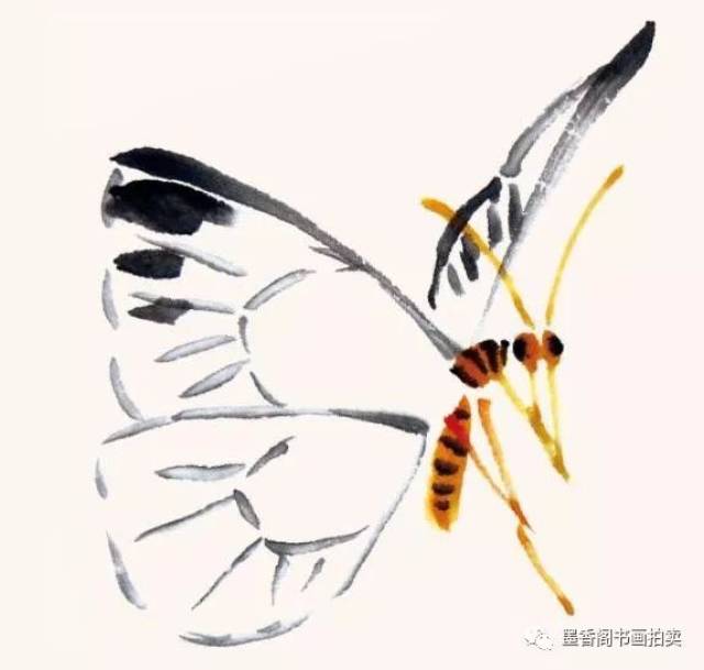 国画技法|写意蝴蝶的画法