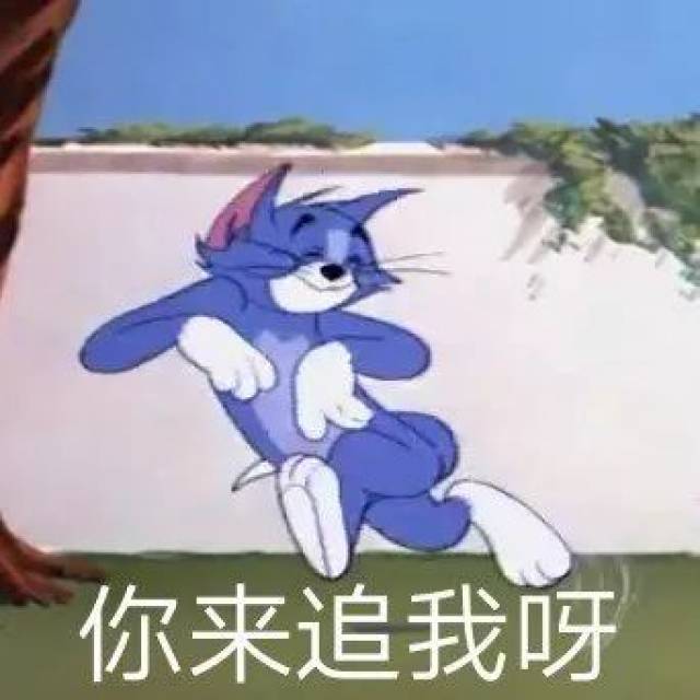 【猫和老鼠表情包】你来追我呀