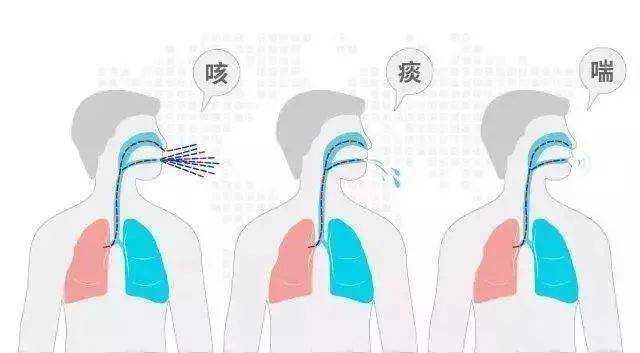 慢阻肺防治趁早不嫌迟,就在当下—福州市中医院呼吸内科主题义诊