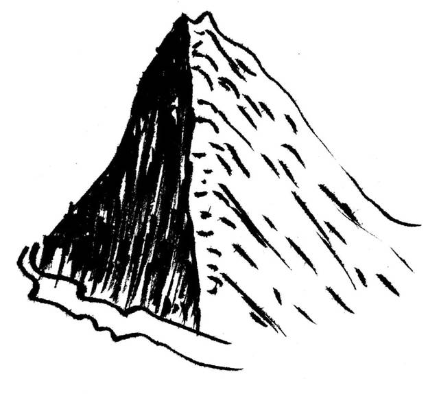 雅丹地貌 5 冰川地貌 ▲云杉,松树,柳树,杨树,椰子树 ▲柏树,金