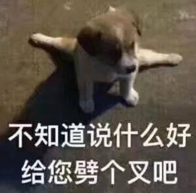 不知道说什么好,给您劈个叉