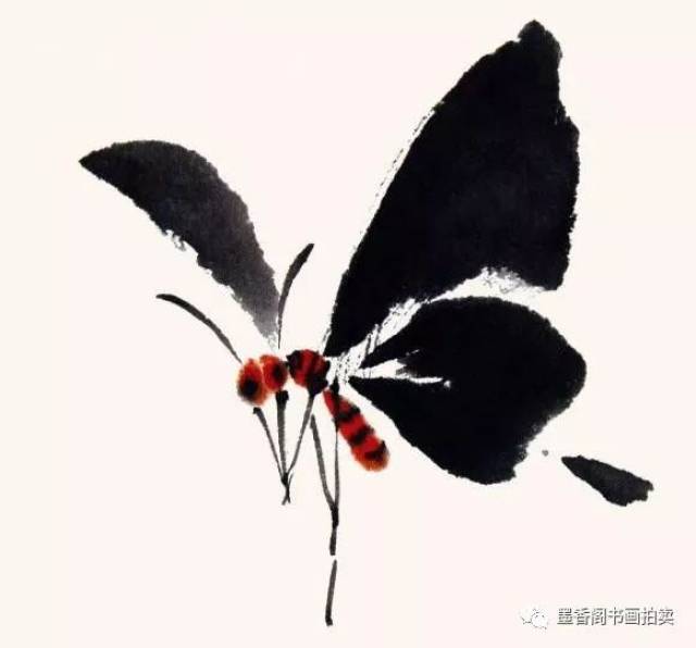 国画技法|写意蝴蝶的画法