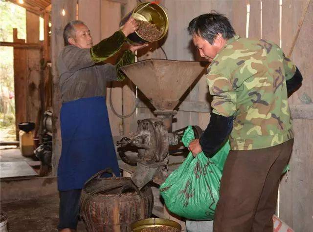 农村茶油卖到100至130一斤,看完村民榨茶油过程你还觉得贵吗?