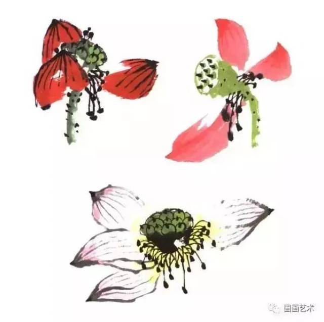 小荷才露尖尖角——非常全面的荷花画法,收藏起来!