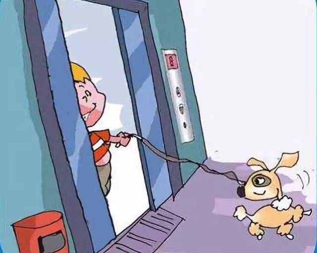 08 携带宠物乘坐电梯时,不要使用过长的牵引绳,出入电梯时请抱起宠物