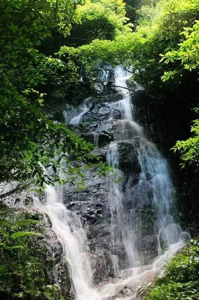 而在丫山卧龙谷景区大小瀑布20余处,最高一处近60米恰似"飞流直下三千