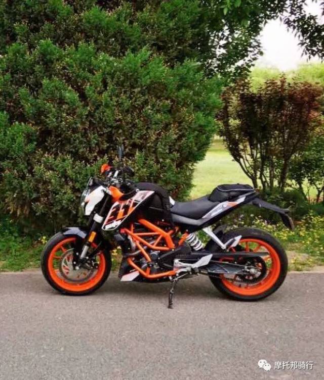 duke390～小橙子的成长故事
