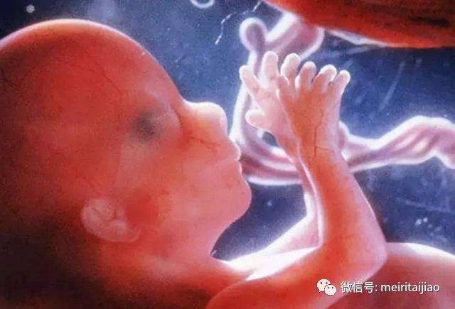 怀孕5个月胎儿变化