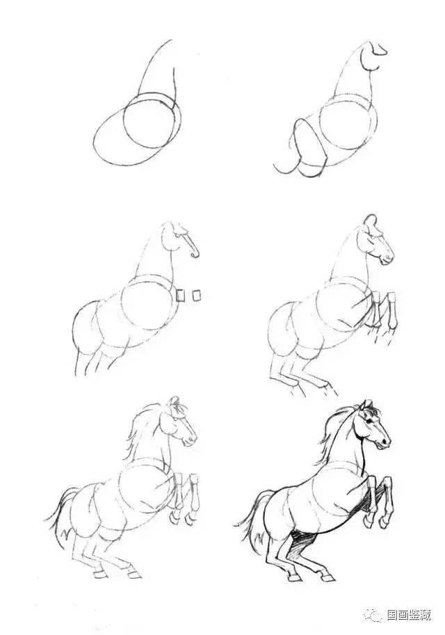 白描之马的50种基本画法