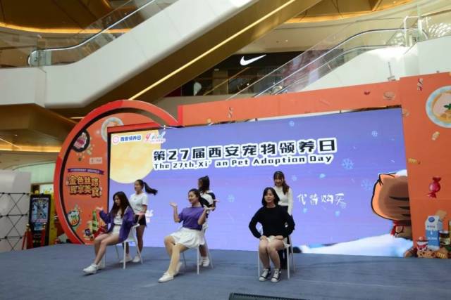 第27届西安领养日活动回顾 | 感恩不放弃ta的你!