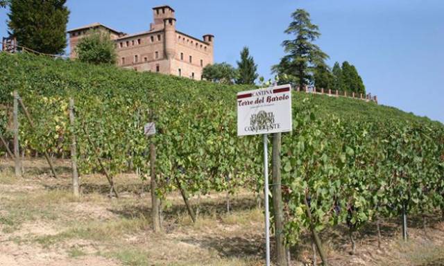 2017年度意大利葡萄酒企业实力排行榜:第75位