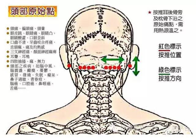 喉咙痛,颈椎痛,落枕等就按推颈部原始点