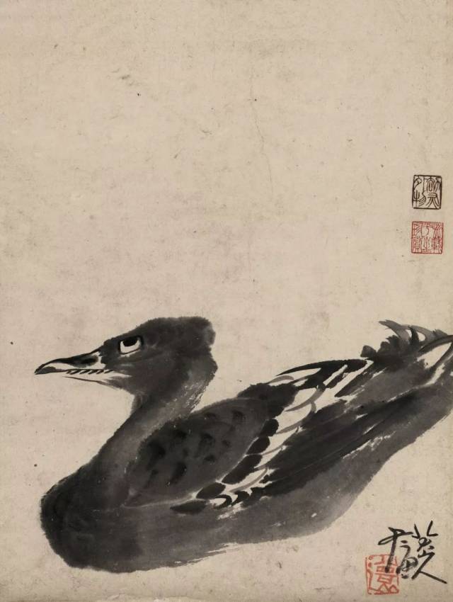 居然活的不如一只鸭子.