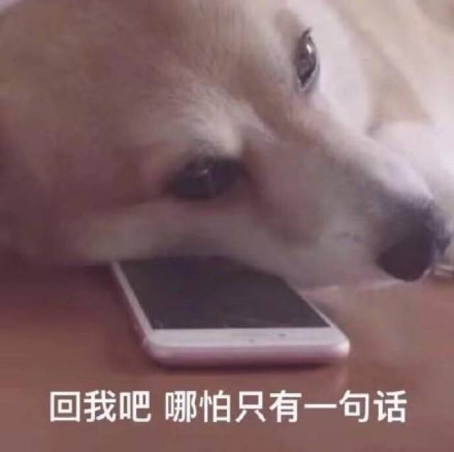 搞笑表情包精选27张:一杯茶一包烟混过一天是一天