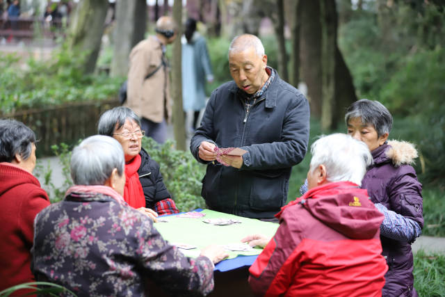 在院子内闲游时,看到好多老奶奶,老爷爷在打牌,其乐融融.