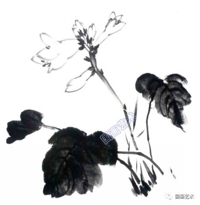 图文教程:玉簪花的写意画法