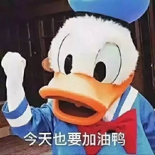 大家快加油鸭!