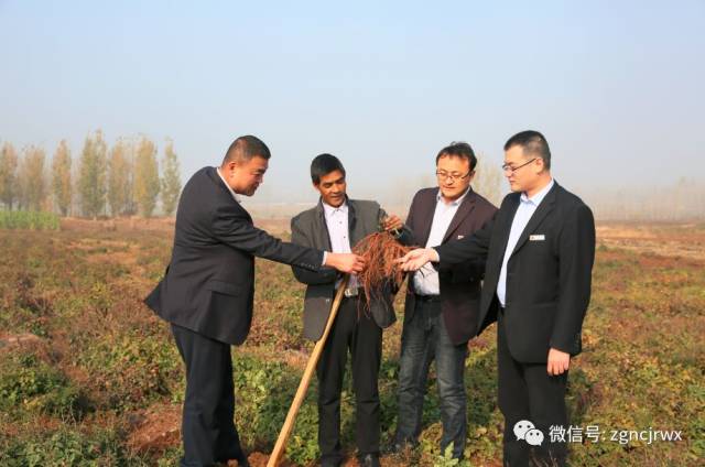 老邹名叫邹畦全,山东省沂南县砖埠镇南黄埠村"两委"成员,土生土长的庄