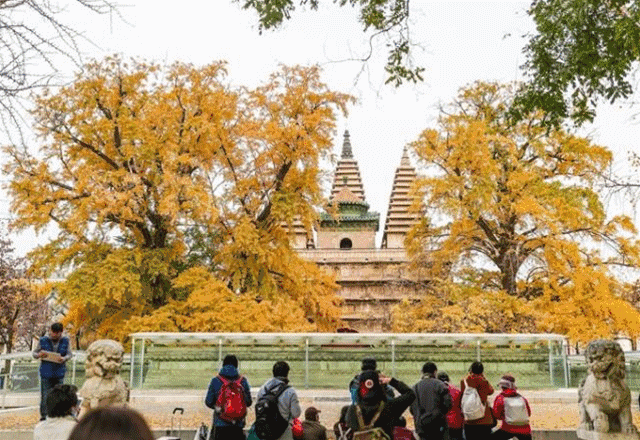 北京石刻艺术博物馆   海淀区五塔寺村24号