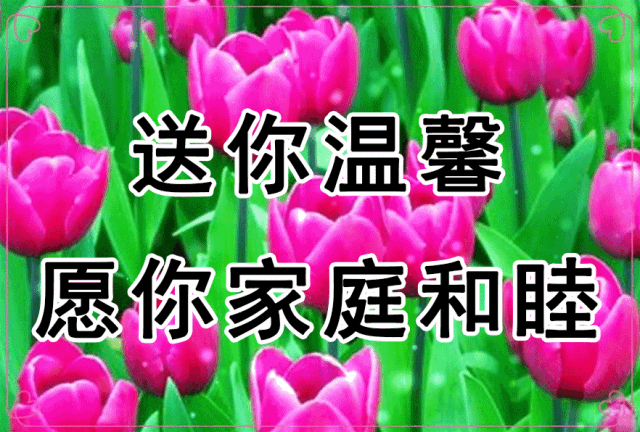 今日小雪,一首《牵挂》送给我牵挂的人,天冷了,照顾好