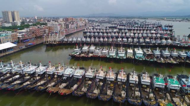 是广东省三大渔港之一,渔港面积,码头长度,渔船数量,单船马力,渔业