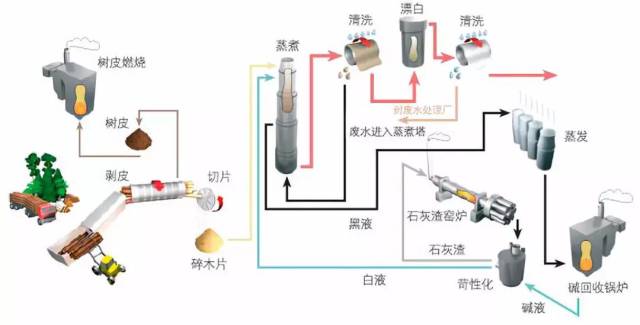 苛化后,碱回收率可达95%以上,制浆过程剩余的有机物可以用来燃烧发电