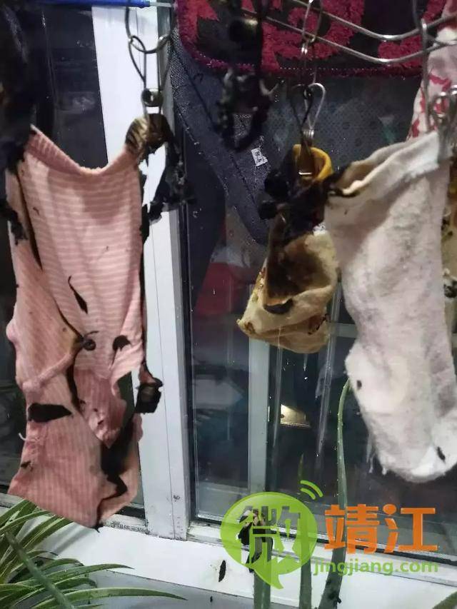 【微靖江】阳台衣服被烧光!莲沁苑有人燃放烟花,险酿火情