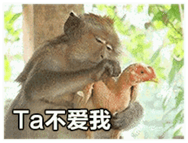 出神入化的恶搞表情包,笑抽筋了