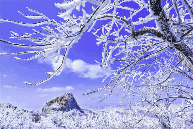 今日小雪 | 宜游玩 忌不开心