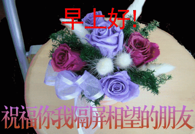 早上好问候语祝福语大全