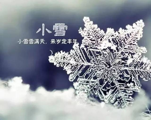 今天小雪!第一个为你送上祝福,愿你快乐安康!打开看看