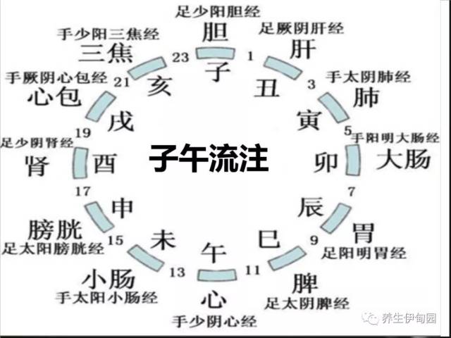 价值740万的健康提示:诺奖得主告诉你违背生物钟的后果