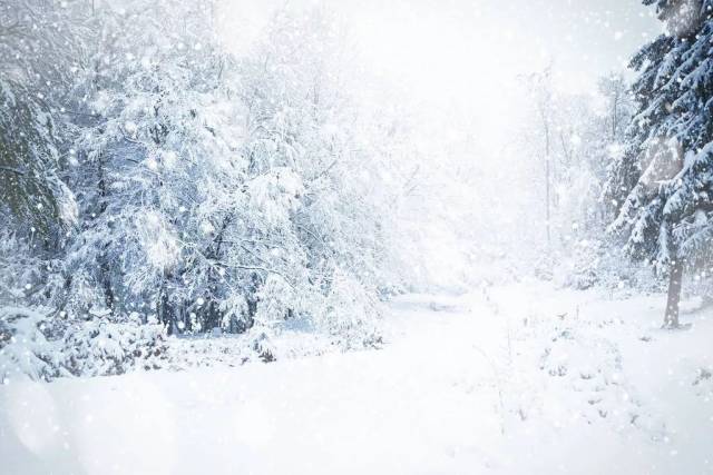 snowstorm 暴风雪