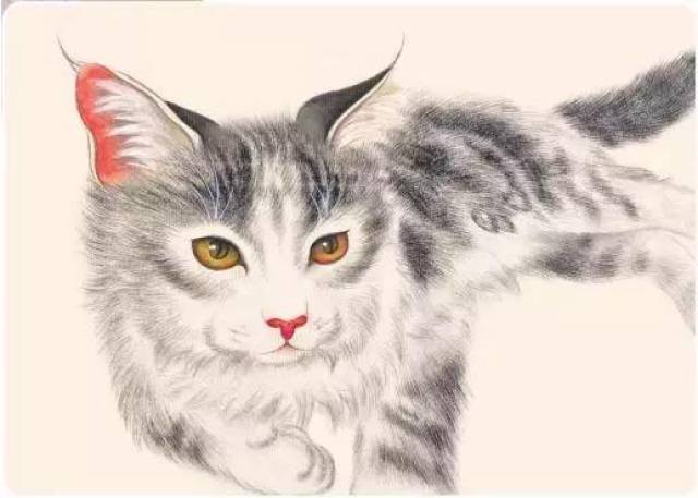 工笔猫咪的画法: ①画猫口诀:画猫先画头,画眼贵在灵,猫眼要传神