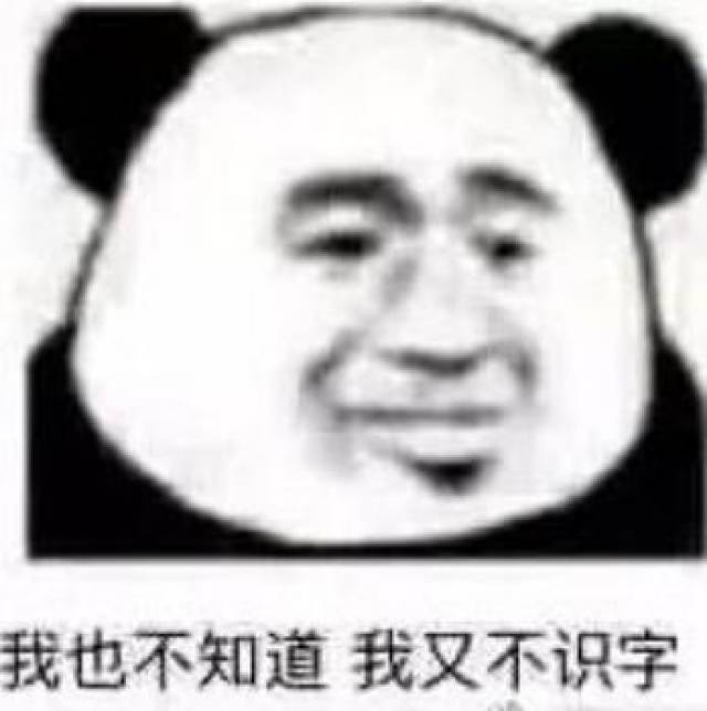 摊牌吧,我爱你,没钱