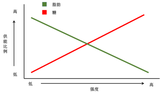 如果每天坚持跑步5公里,跑多久可以消耗1斤脂肪?