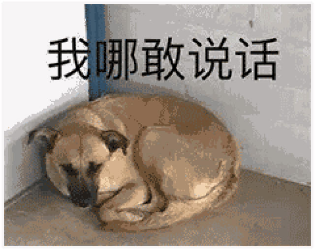 出神入化的恶搞表情包,笑抽筋了