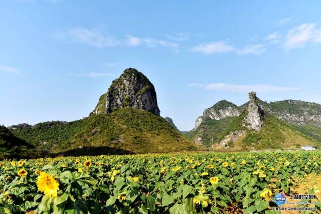 上林又一网红打卡地曝光(上林时空)