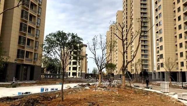 关于公布《龙港镇松涛嘉园安置房申请购买