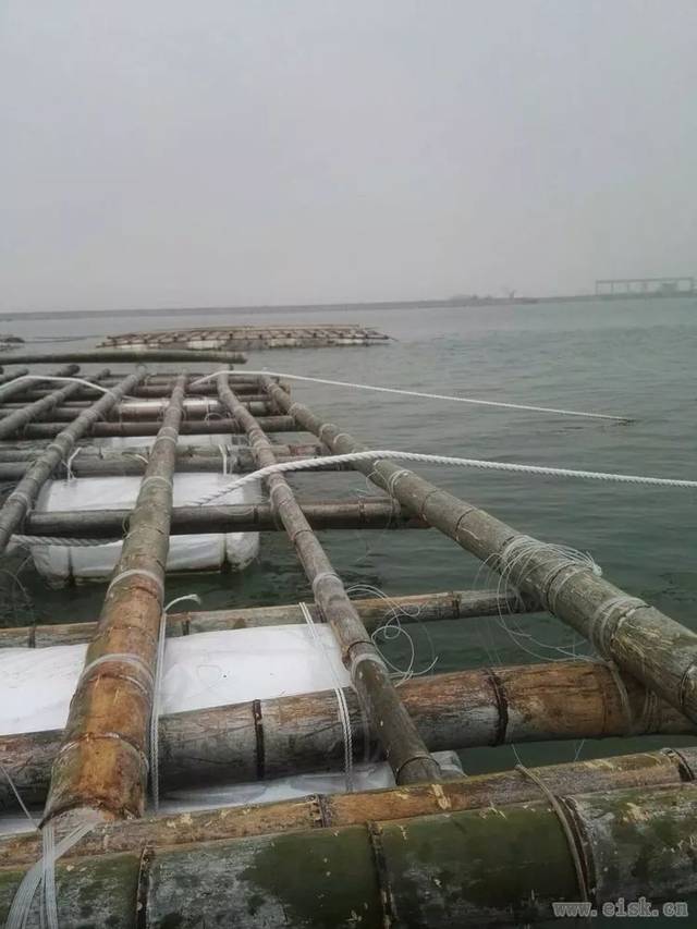 钓鱼会游钓系列 海泉湾猎鲈