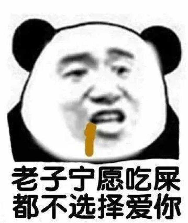 熊猫头怼人表情包:不记得你是谁了,我去搜狗找一下