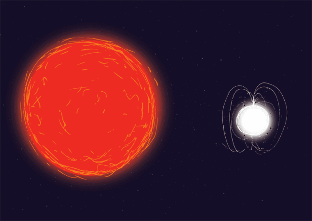 中子星是死亡恒星残骸,若它再吸收物质能成恒星吗? 还会核聚变