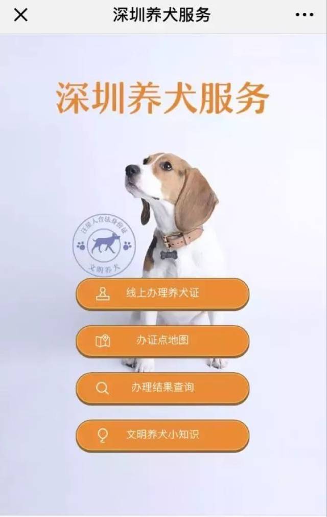 微信办理养犬证只需三步!没证将被罚!